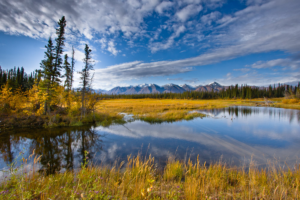 Alaska Highway View, USA