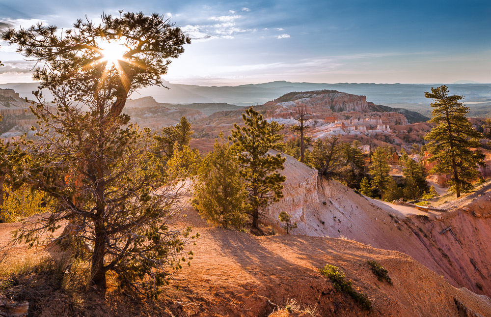 Morning awakens, Bryce Canyon Nationalpark, Utah, USA