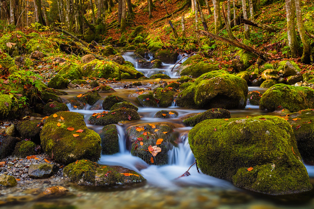 Course of Life, Wasserfall nahe des Tegernsees, Bayern Deutschland