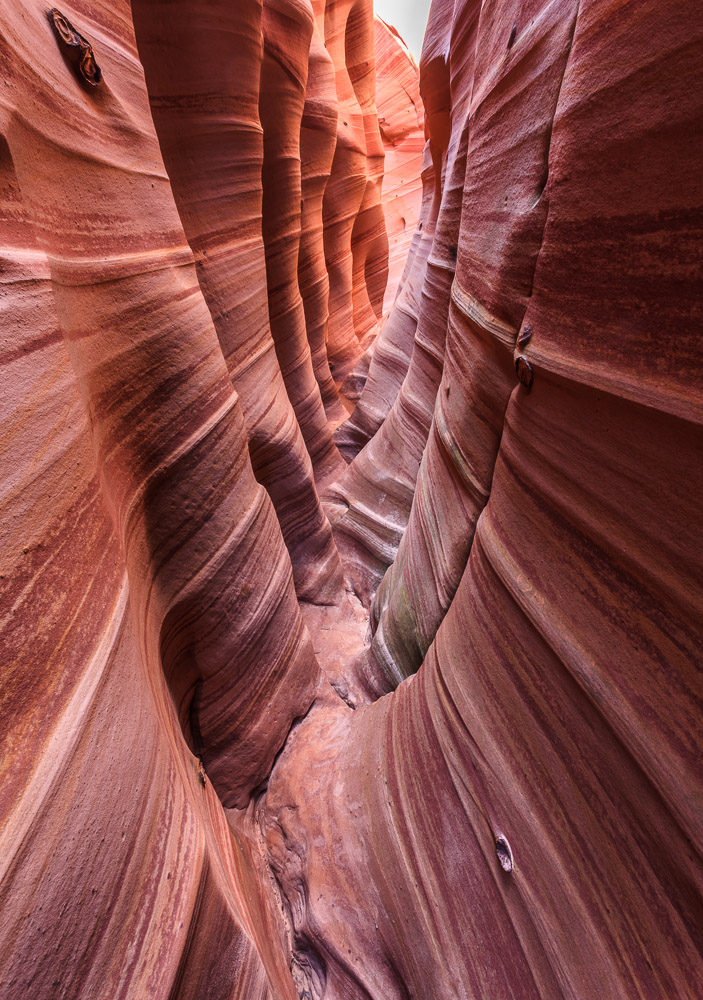 Zebra Slot Canyon, Utah, USA