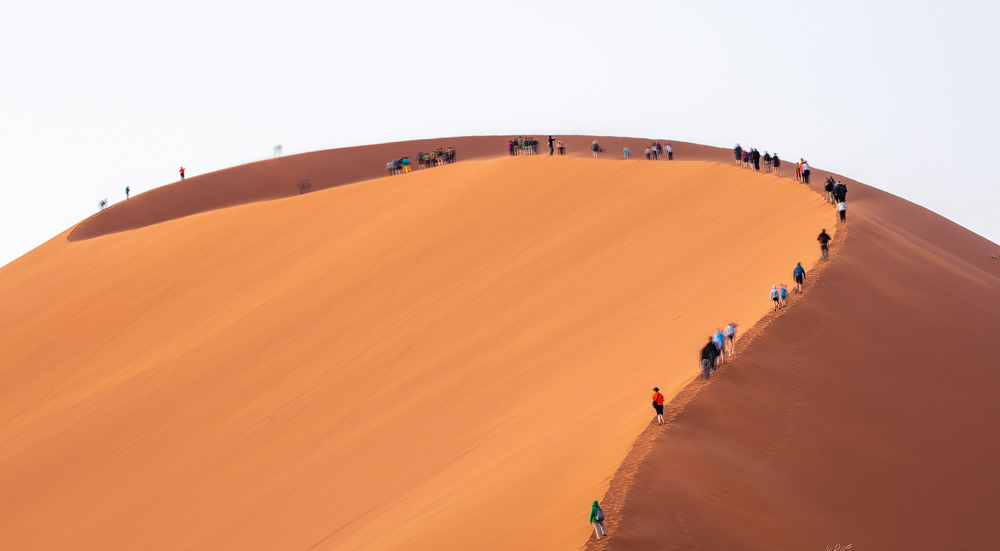 Völkerwanderung auf die Dune 45 - der Name kommt daher, weil die Düne auf der Straße nach Sossusvlei genau nach 45 Kilometern liegt.