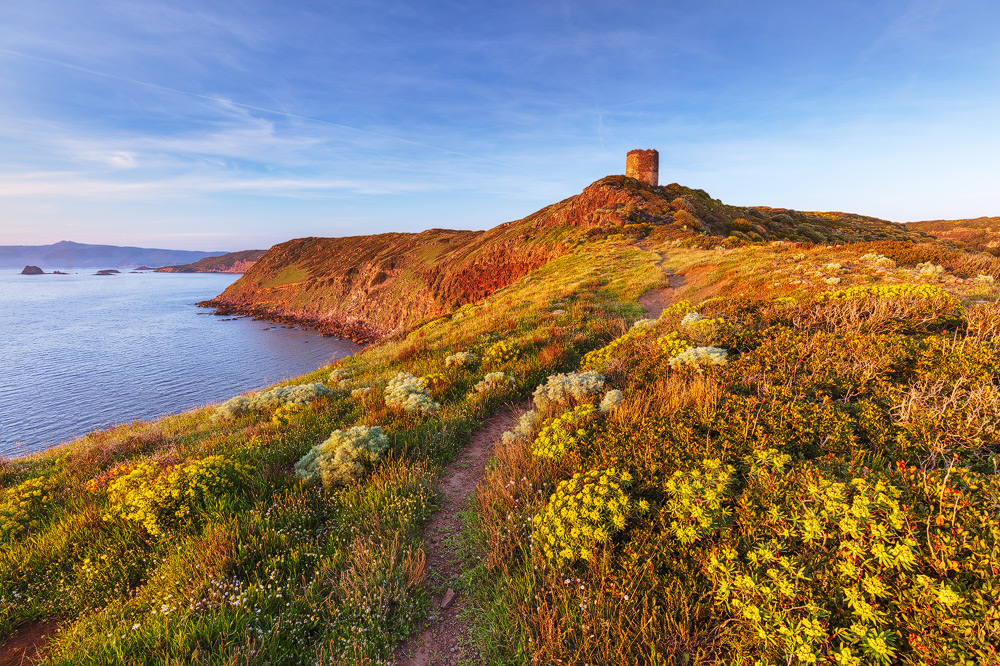 Der Torre Costiera am Punta Foghe im Westen Sardiniens Der Torre Costiera am Punta Foghe im Westen Sardiniens
