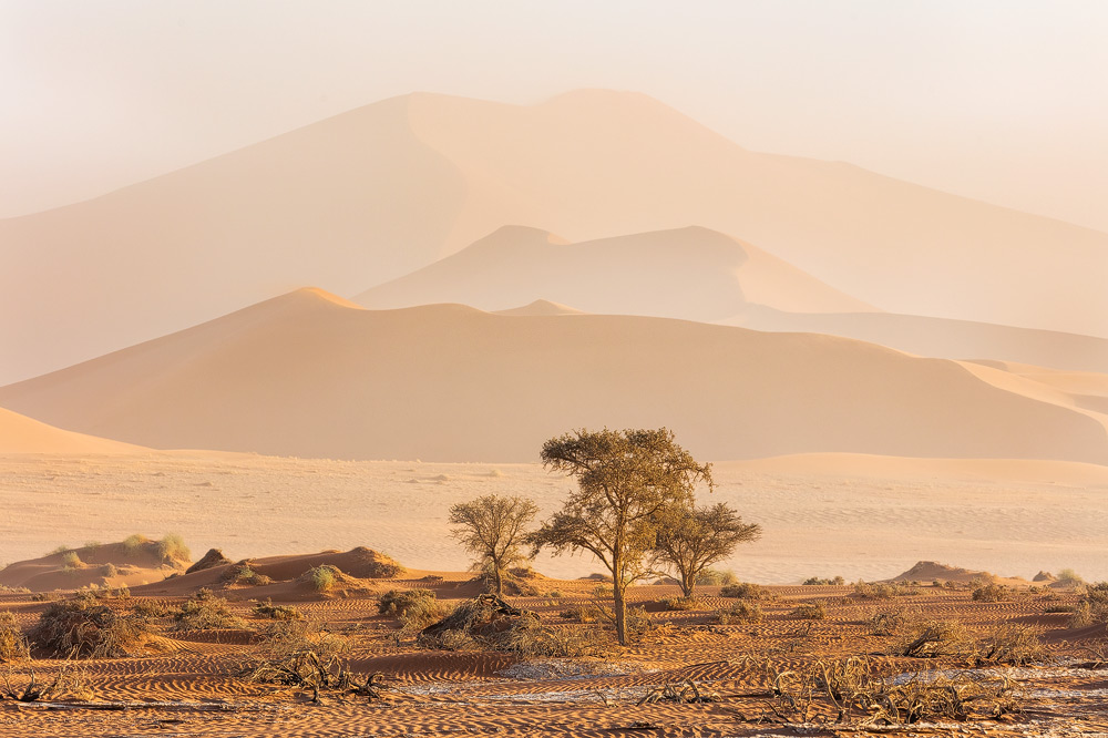 Sandsturm in Sossusvlei, Namibia