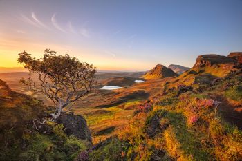 Landschaftbilder reduzieren Stress