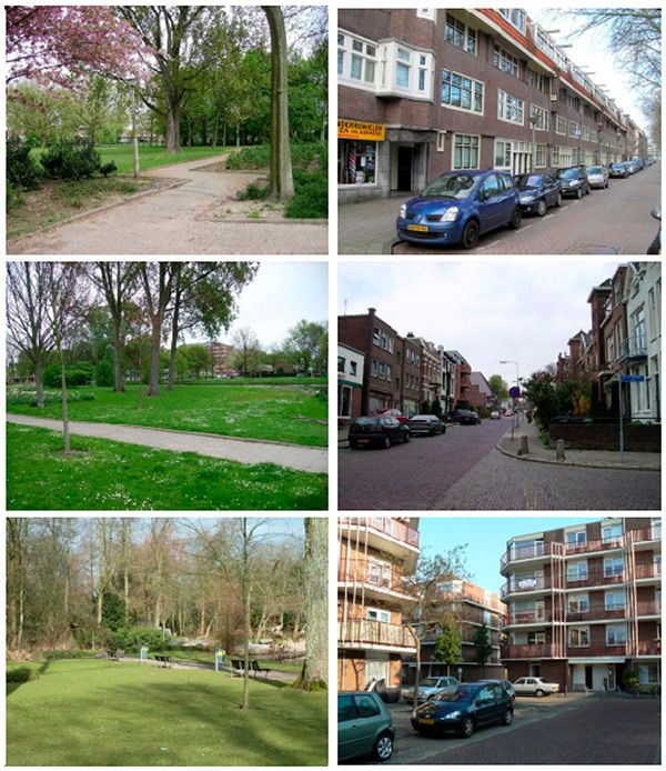 Das sind Beispiele für Bilder, die die Forscher den Studenten gezeigt haben. Links Bilder aus der Natur und rechts Stadtszenen mit Gebäuden und Autos.