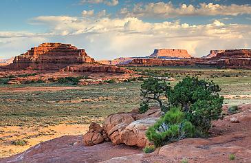 Canyonlands Nationalpark, Needles District, Utah, USA