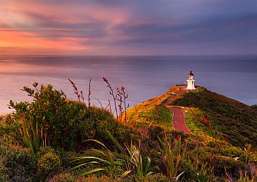 Lost in Light, Cape Reinga, New Zealand