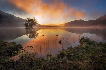 Morning has broken, Walchsee, Tirol, Österreich