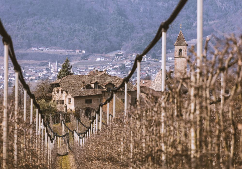 Die Ortschaft Montiggl (Monticolo) liegt eingebettet in Weinbergen